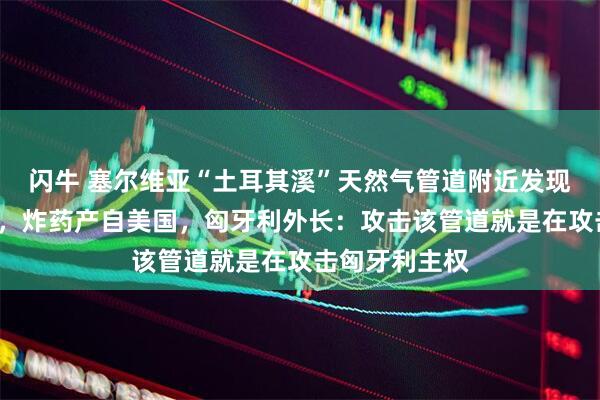 闪牛 塞尔维亚“土耳其溪”天然气管道附近发现“强力炸药”，炸药产自美国，匈牙利外长：攻击该管道就是在攻击匈牙利主权