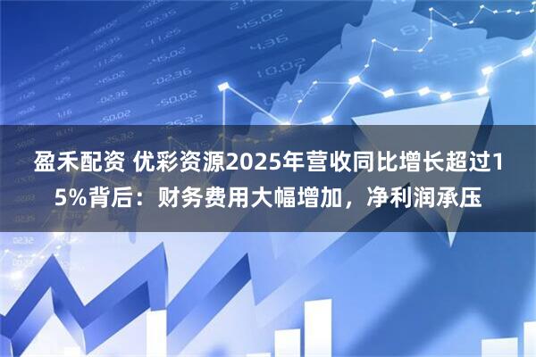 盈禾配资 优彩资源2025年营收同比增长超过15%背后：财务费用大幅增加，净利润承压
